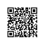 M55342E04B34B0RTP QRCode