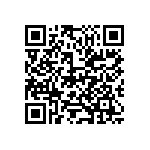 M55342E06B3B52RTP QRCode