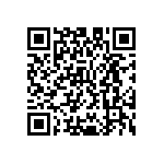 M55342E06B49B9RTF QRCode