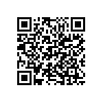 M55342H01B301DRWS QRCode