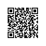 M55342H01B33D2RT5 QRCode