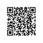 M55342H02B1E82RWS QRCode