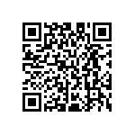 M55342H02B294DMT5 QRCode