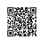 M55342H03B3B09RWS QRCode