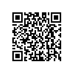 M55342H04B10B5RWS QRCode