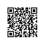 M55342H04B1E13RWS QRCode