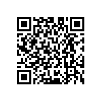 M55342H04B28E0RWS QRCode