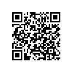 M55342H04B2B91RWS QRCode