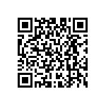 M55342H04B2E10RWS QRCode