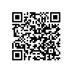 M55342H04B33B2RT5 QRCode