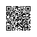 M55342H04B402ERWS QRCode