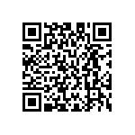 M55342H04B4B42RWS QRCode