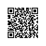 M55342H04B5B42RWS QRCode