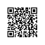 M55342H04B5E11RWS QRCode