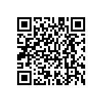 M55342K01B3E01PT0V QRCode