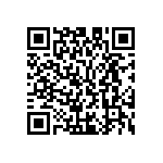 M55342K02B10B6RWS QRCode