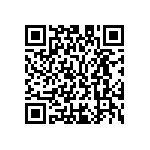 M55342K02B11B0RWS QRCode