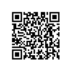 M55342K02B1B10RT5 QRCode