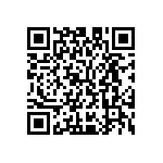 M55342K02B20B0RT5 QRCode