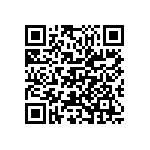 M55342K02B21B5RWS QRCode