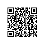 M55342K02B2B55RWS QRCode