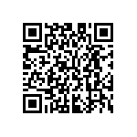 M55342K02B32B4RT5 QRCode