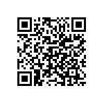 M55342K02B402APWS QRCode