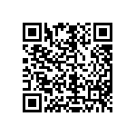 M55342K02B61D9RT5V QRCode