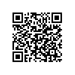M55342K03B100APWS QRCode