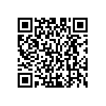 M55342K03B10B4RBS QRCode