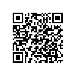 M55342K03B2B98RTF QRCode