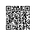 M55342K03B3B74RWS QRCode