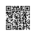 M55342K03B42B7RT5 QRCode