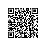 M55342K04B100ERWSV QRCode