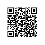 M55342K04B10B0MWS QRCode
