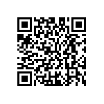 M55342K04B10B0RT5 QRCode