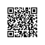 M55342K04B13E0RTSV QRCode