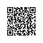 M55342K04B1B00RT5 QRCode