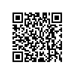 M55342K04B294ARWS QRCode