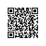 M55342K04B2B40RWS QRCode