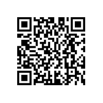 M55342K04B30B1RWS QRCode