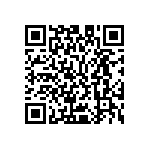 M55342K04B80B6RWS QRCode