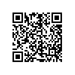 M55342K06B100ERT5V QRCode