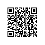 M55342K06B296ERWSV QRCode