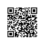 M55342K06B2B21PT3 QRCode