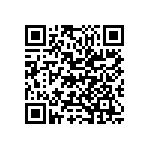 M55342K06B30B0RT5 QRCode
