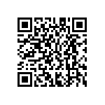 M55342K06B34E8RWSV QRCode