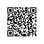 M55342K06B49E9PT5V QRCode