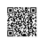 M55342K06B49E9PTSV QRCode