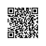 M55342K06B6B04RWS QRCode